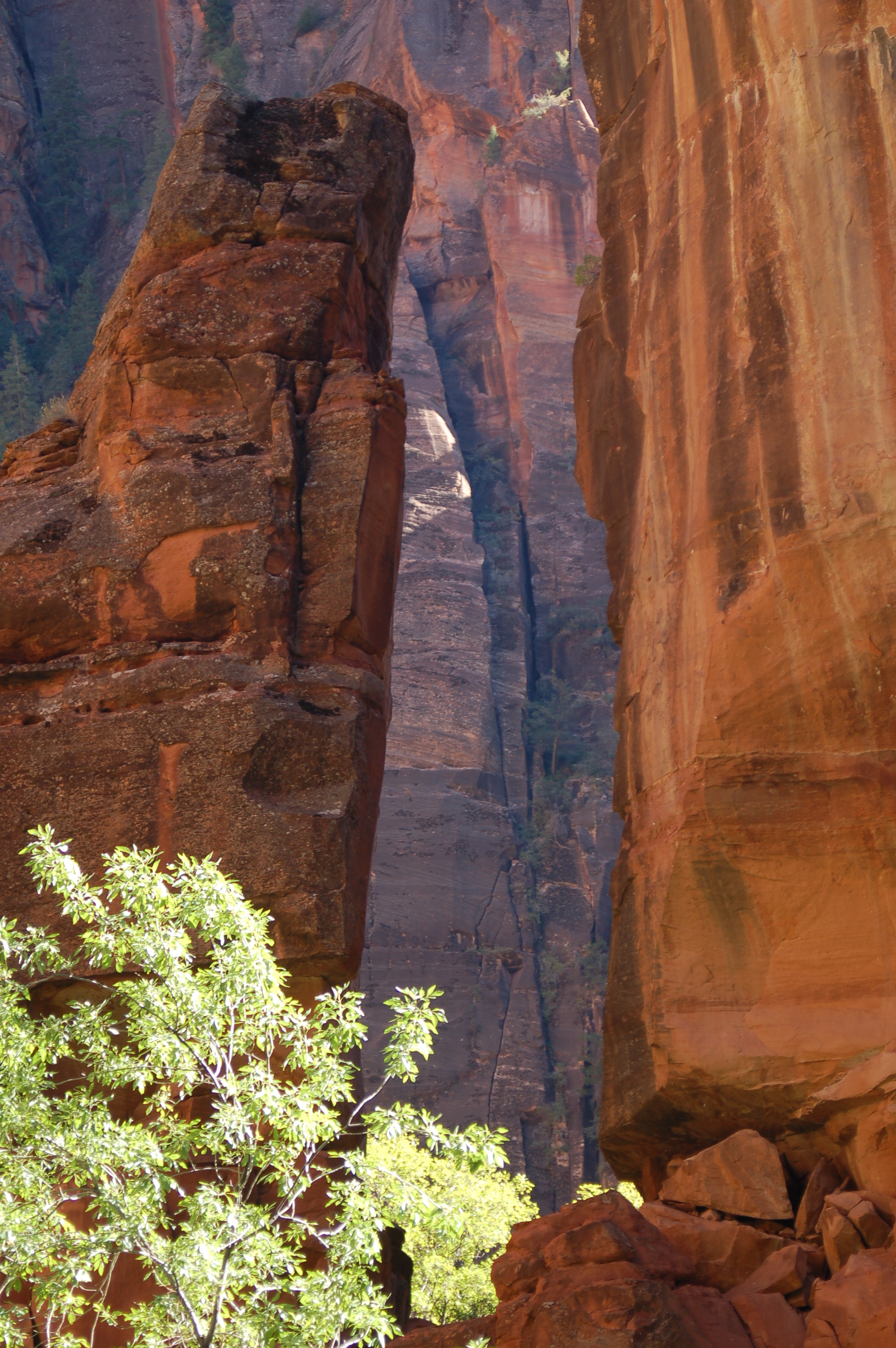 Zion NP